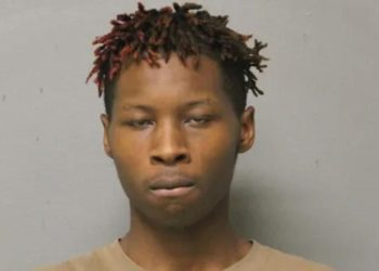 violent-chicago-robbery-suspect-allegedly-molested-young-girl-|-new-york-post