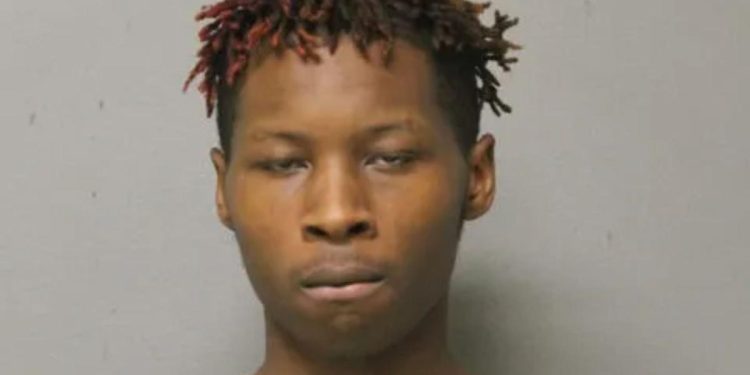 violent-chicago-robbery-suspect-allegedly-molested-young-girl-|-new-york-post