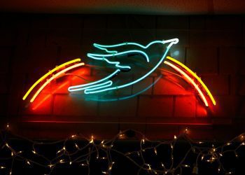 how-the-bluebird-cafe-—-an-86-seat-room-in-a-strip-mall-—-became-country’s-proving-ground