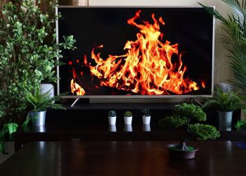 tired-of-an-old-fashioned-yule-log-video?-try-these-scientific-alternatives-instead