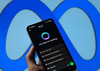 world:-rome-pushes-meta-to-allow-other-ais-on-whatsapp-–-new-vision