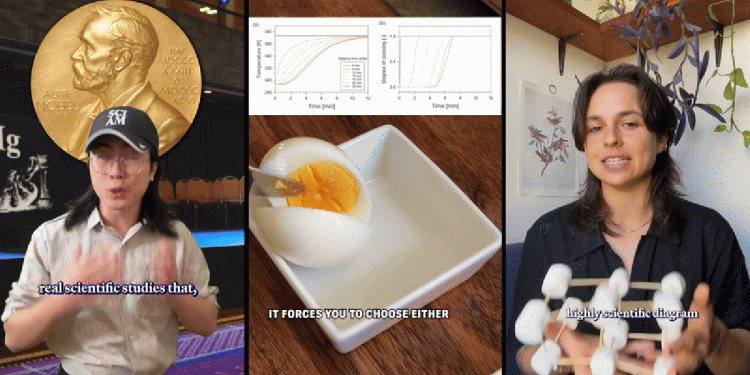 our-7-best-science-tiktoks-you-need-to-watch-right-now-|-scientific-american