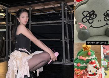 blackpink’s-jisoo-highlights-macarons-from-s’pore-patisserie-in-instagram-story-–-mothership.sg