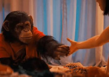 things-get-wild-in-the-new-‘primate’-clip-–-horrorfuel.com