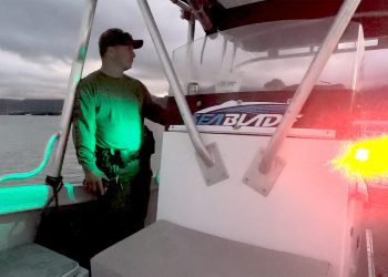 12/30/25-–-dlnr-patrols-to-deter-illegal-christmas-tree-bonfires-–-hawaii.gov