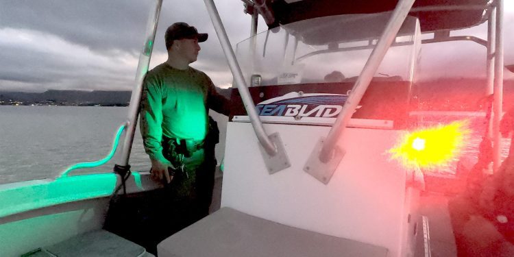 12/30/25-–-dlnr-patrols-to-deter-illegal-christmas-tree-bonfires-–-hawaii.gov