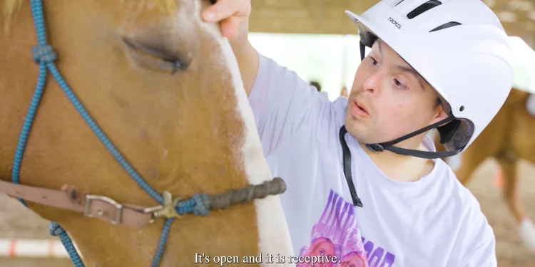 cedar-creek-–-vimeo