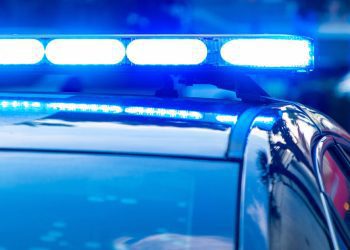 westmoreland-county-woman-accused-of-giving-children-psychedelic-mushrooms