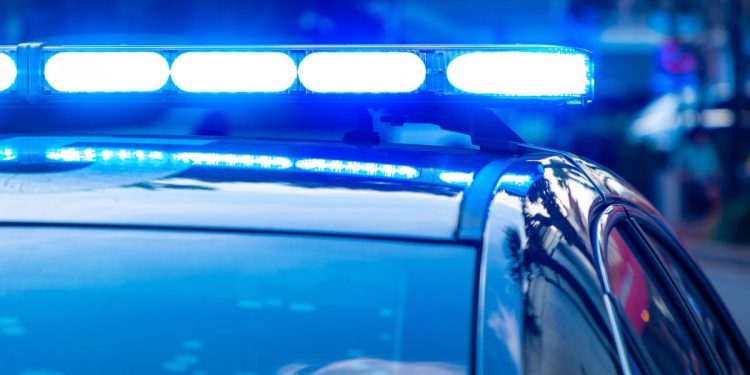 westmoreland-county-woman-accused-of-giving-children-psychedelic-mushrooms