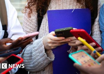 use-film-style-age-ratings-to-limit-teens’-social-media,-say-lib-dems-–-bbc