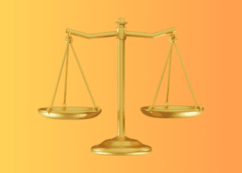 ‘we-want-you-arrested-because-we-said-so’-–-how-ice’s-policy-on-raiding-whatever-homes-it-…