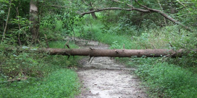 a-blast-from-the-past,-informs-our-path-into-the-future-|-calepa