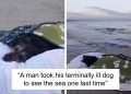 this-instagram-account-shares-fascinating-fun-facts-and-real-life-stories,-here’s-20-of-…