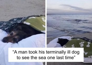 this-instagram-account-shares-fascinating-fun-facts-and-real-life-stories,-here’s-20-of-…