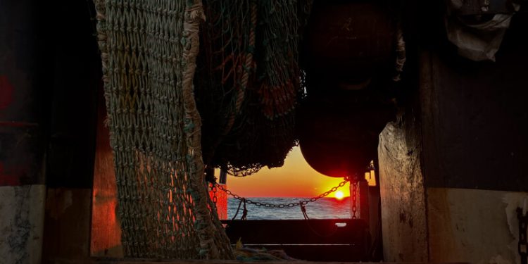 nefsa-names-bonnie-brady-policy-director,-jason-joyce-advocacy-lead