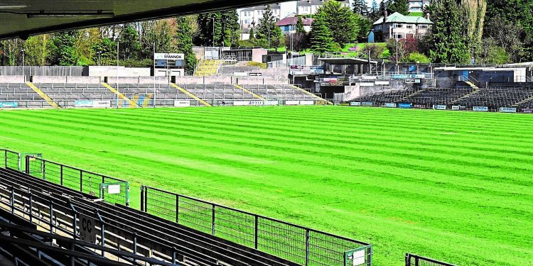 check-out-this-week’s-fermanagh-gaa-notes