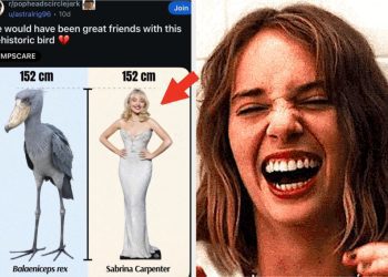 75-pictures-that-literally-never-once-fail-to-make-me-laugh-uncontrollably-no-matter-…
