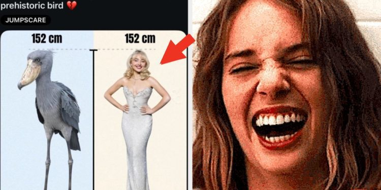 75-pictures-that-literally-never-once-fail-to-make-me-laugh-uncontrollably-no-matter-…
