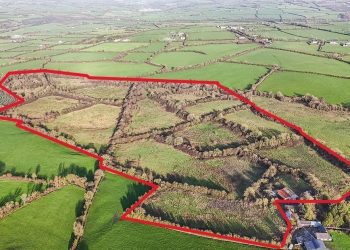 kilkenny-farm-sells-for-e850,000-at-lively-auction-–-irish-examiner