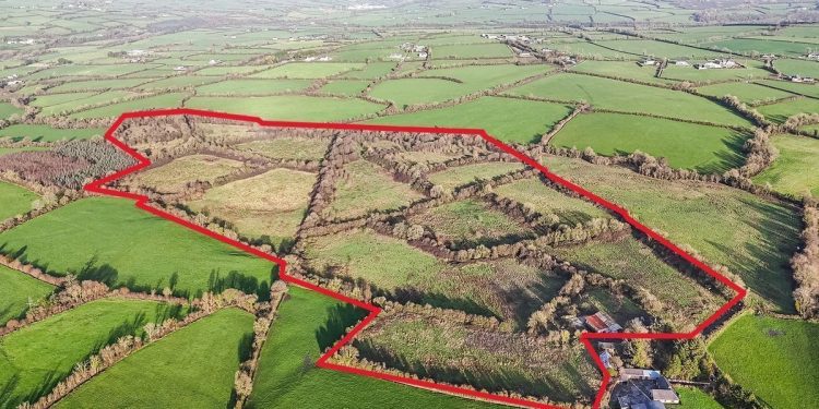kilkenny-farm-sells-for-e850,000-at-lively-auction-–-irish-examiner