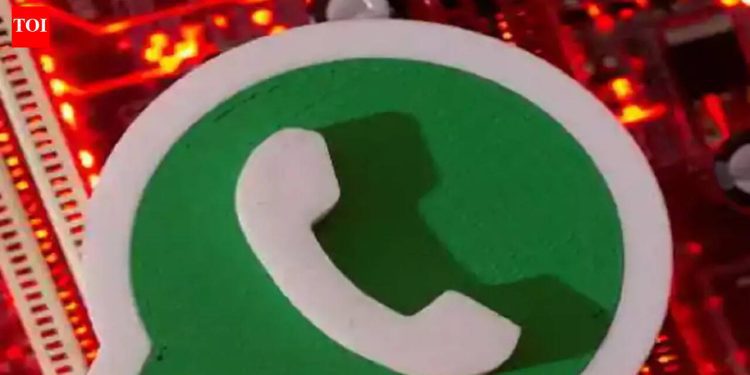 how-to-backup-whatsapp-messages-through-your-google-account:-a-step-by-step-guide