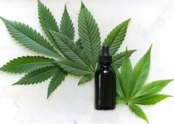 weekly-roundup-on-the-cannabis-sector-&-psychedelic-sector-|-market-exclusive