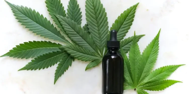 weekly-roundup-on-the-cannabis-sector-&-psychedelic-sector-|-market-exclusive
