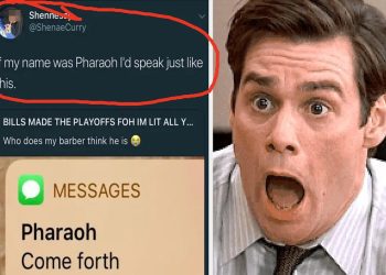 i-was-not-ready-for-how-hard-i’d-laugh-at-these-people-who-decided-…-–-yahoo-news-singapore