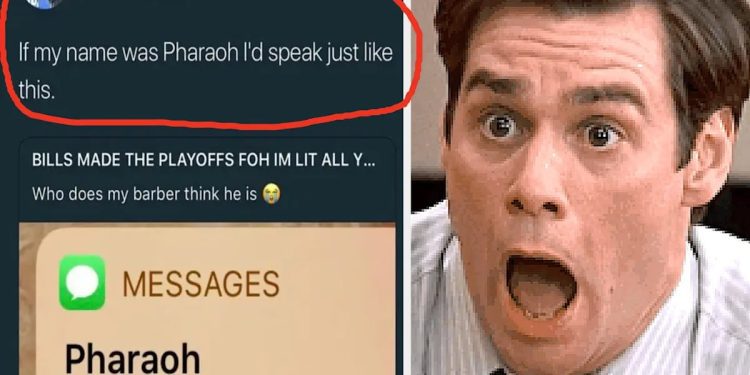 i-was-not-ready-for-how-hard-i’d-laugh-at-these-people-who-decided-…-–-yahoo-news-singapore