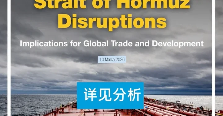 strait-of-hormuz-disruptions-–-chinese-version-|-videos-&-movies-on-vimeo