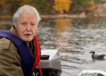 ‘my-mother-was-tricked-by-a-fraudster-pretending-to-be-david-attenborough-and-gave-them-…