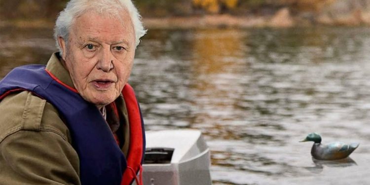 ‘my-mother-was-tricked-by-a-fraudster-pretending-to-be-david-attenborough-and-gave-them-…