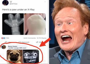 i-honest-to-god-laughed-out-loud-at-every-single-one-of-these-random-people-who-…
