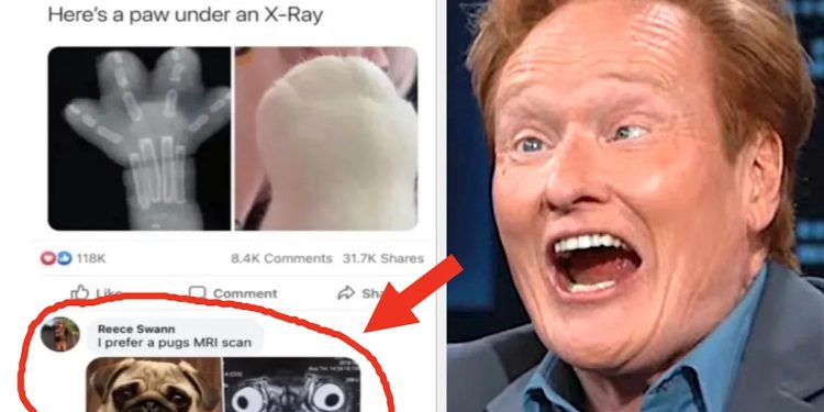 i-honest-to-god-laughed-out-loud-at-every-single-one-of-these-random-people-who-…