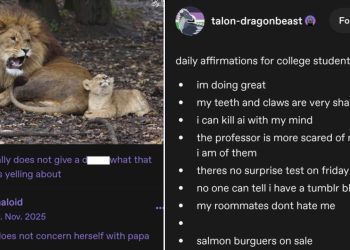 enjoy-some-tumblr-posts-and-memes-today