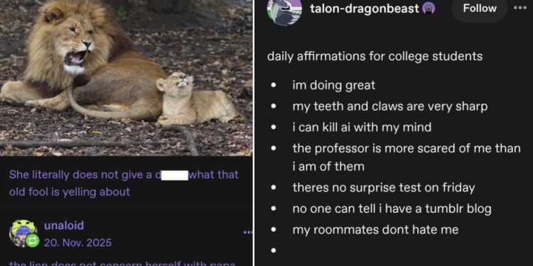 enjoy-some-tumblr-posts-and-memes-today