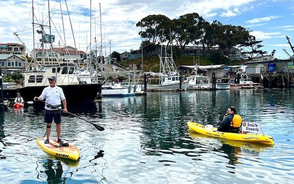 morro-bay-state-park-seeks-kayak-and-stand-up-paddleboard-volunteers