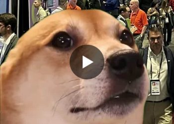 the-cyber-security-hub-–-rsa-#rsac2026-–-linkedin