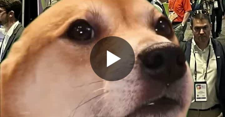 the-cyber-security-hub-–-rsa-#rsac2026-–-linkedin