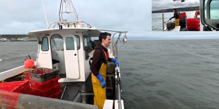 twitch-streamer-rescues-paddleboarder-live-on-stream-in-…-–-verge-magazine