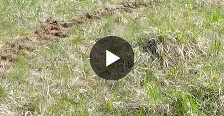 the-us-army-is-deepening-its-trench-warfare-training,-drawing-on-tactics-from-ukraine-…-–-linkedin