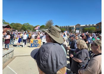 no-kings-event-in-smyrna-attracts-hundreds-–-cobb-courier