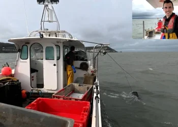 twitch-streamer-rescues-struggling-paddleboarder-–-earlygame