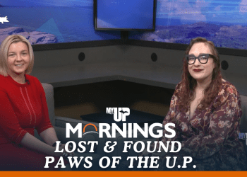 help-pets-reunite-with-families-online-through-lost-&-found-paws-of-the-up.-facebook-page