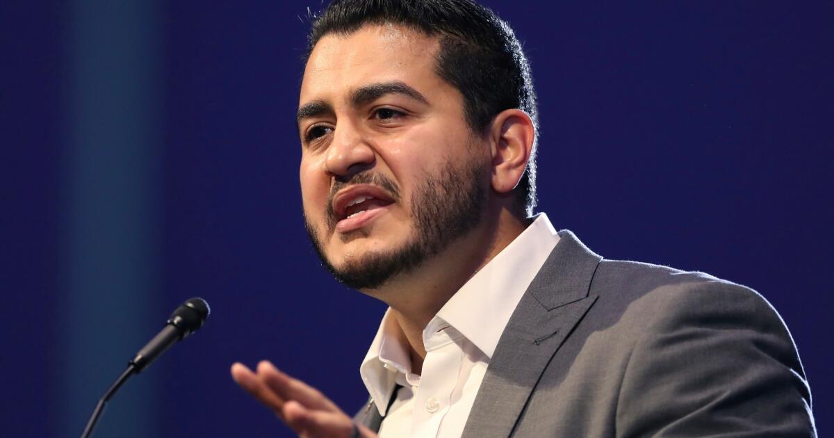 how-big-of-a-tent-do-democrats-want?-michigan’s-senate-primary-is-testing-the-limits