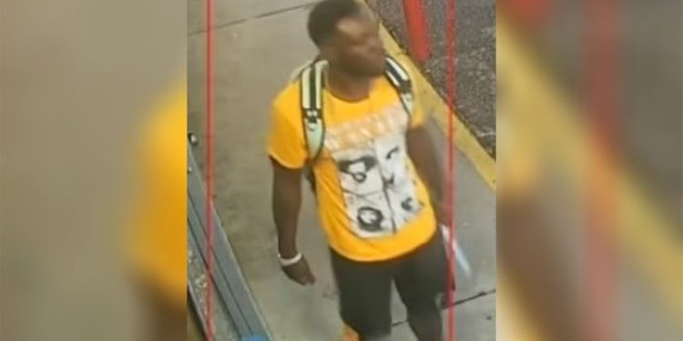 trump-posts-graphic-video-of-deadly-hammer-attack-in-florida,-putting-renewed-focus-on-…-–-cnn