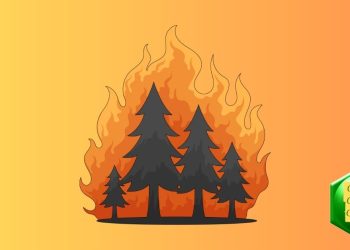 high-fire-danger-in-georgia-continues-for-sixth-consecutive-day-–-cobb-courier