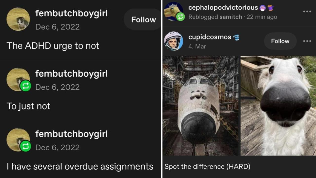 25-tumblr-posts-for-an-internet-refresh-|-know-your-meme