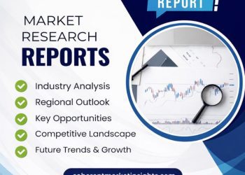 video-as-a-service-market-is-going-to-boom-rapidly|-brightcove,-vimeo,-kaltura-–-openpr.com