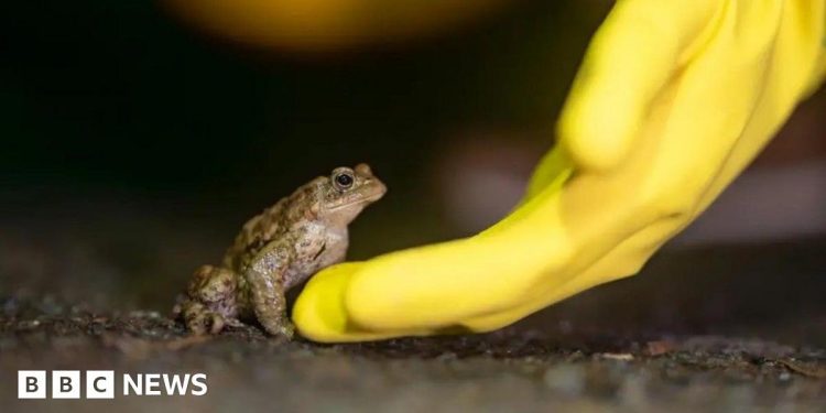 north-east-and-cumbria-weekly-quiz-–-bbc-news